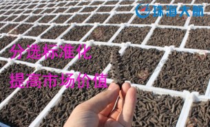 大家都用重量分揀機分選海參了！您還在用人工分選嗎？