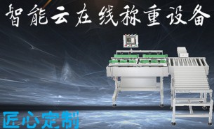 五金件自動(dòng)稱重秤哪家好？