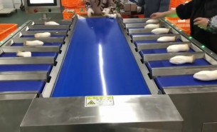 蔬菜配重機(jī)-自動配重機(jī)_預(yù)包裝品自動配重組合秤 珠海大航配 重秤廠家