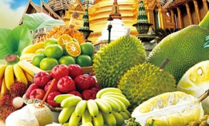 探索水果分揀機如何通過自動化技術在果園、加工廠、保鮮庫及零售環(huán)節(jié)提高生產效率，降低成本，并確保水果品質滿足市場需求。