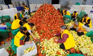 自動化分揀稱重設(shè)備：助力生鮮、凍貨及食品加工行業(yè)突破瓶頸