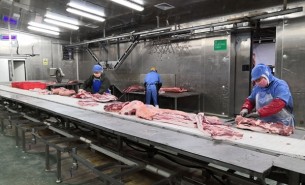 豬蹄重量分選機解決方案-大航智能分選設(shè)備省成本30%