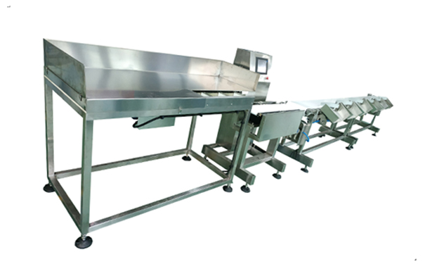 1551162065741738.jpg 2.jpg