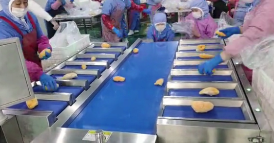 榴蓮果肉配重 榴蓮果肉配重.png